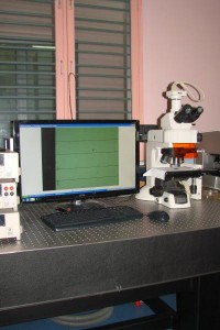 UprightMicroscopeNikon